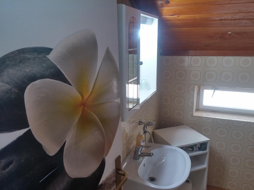 Novak Appartement